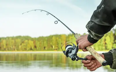 Canne à pêche débutant : laquelle choisir ?