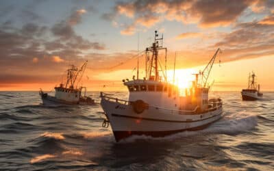 Propositions de la Commission européenne pour les opportunités de pêche en 2024
