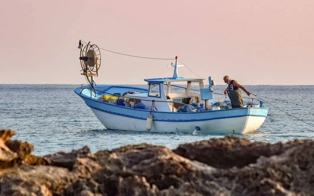 Pêche en mer : Vivez l’aventure au grand large avec des prises d’exception