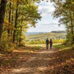 montagne de reims randonnée - Image de couverture